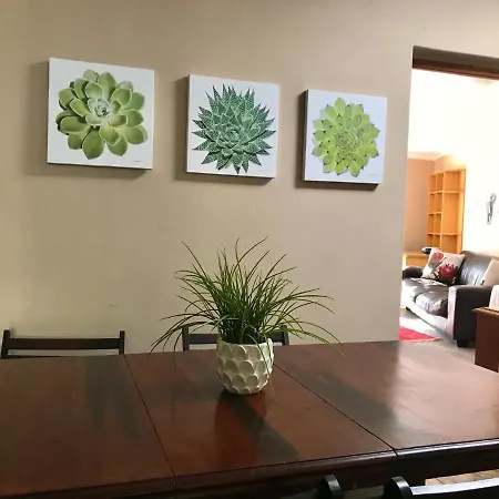 Authentic Newlands Appartement Kaapstad Buitenkant foto