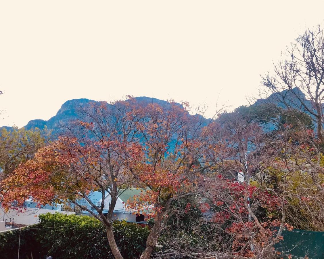 Authentic Newlands Cidade Do Cabo
